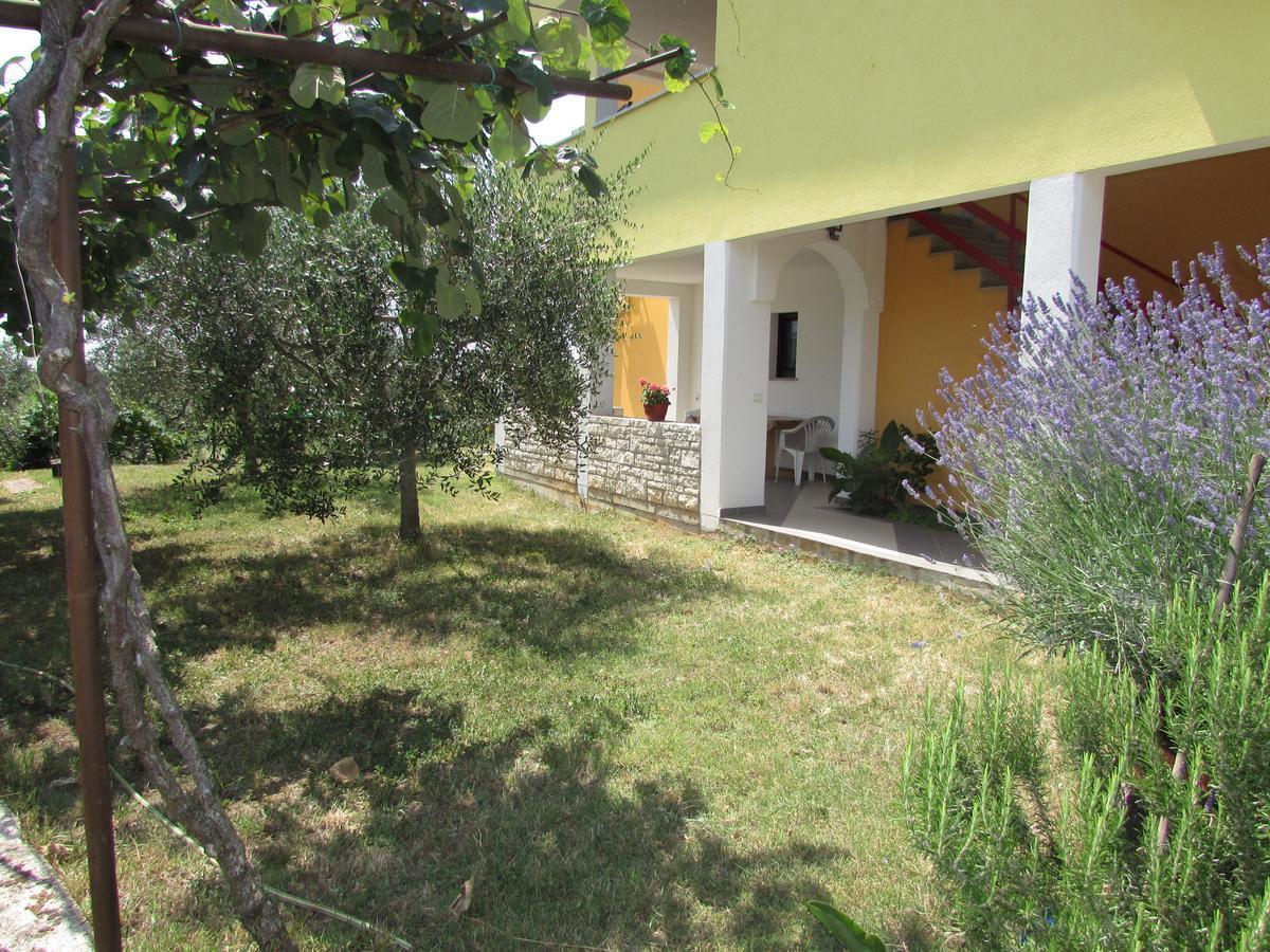Apartments Goga Umag Eksteriør billede