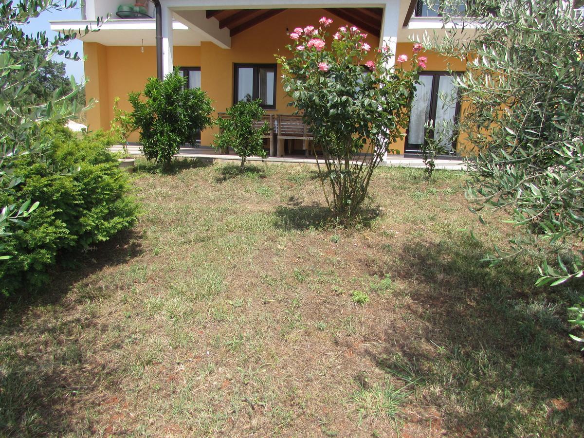 Apartments Goga Umag Eksteriør billede